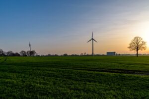 Wind turbines in a green field at sunset